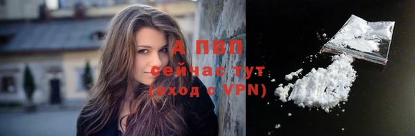 спайс Пересвет