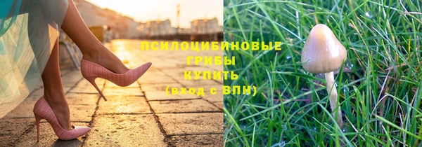 спайс Пересвет